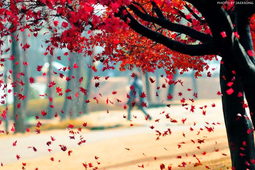 Ποια λέξη φωτογραφίζει εσάς;