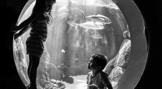 Τα παιδιά δεν ξέρουν να κάνουν διακρίσεις...