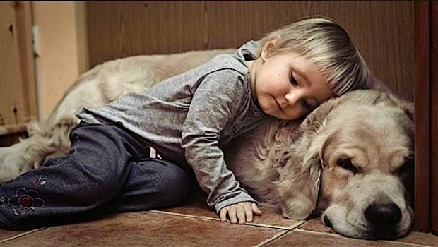 Άγιε Βασίλη, φέρε μου ένα σκυλάκι σε παρακαλώ!!!