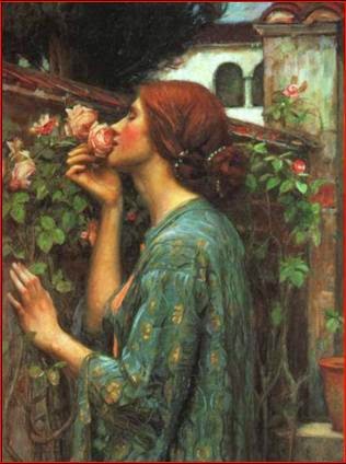 Το τριαντάφυλλο και ο αμάραντος