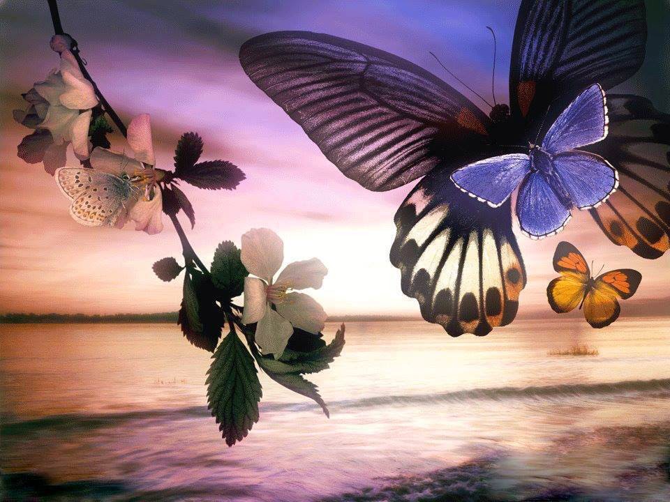 Με βάση τις αναμνήσεις σου, τι ήσουν στην προηγούμενη ζωή σου;