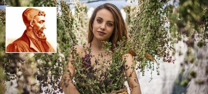 Τα superfoods των Αρχαίων Ελλήνων…