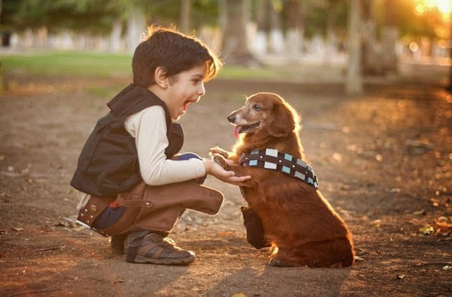 200€... κουπόνι για το κατοικιδιό σου!!!