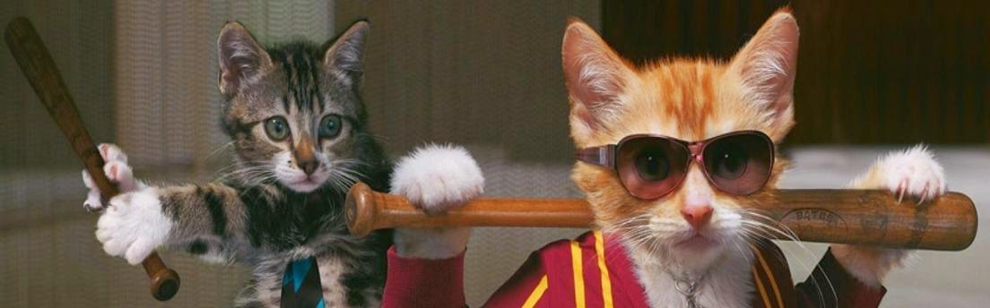 Ο aylogyros τα έχει... τετρακόσια!!!