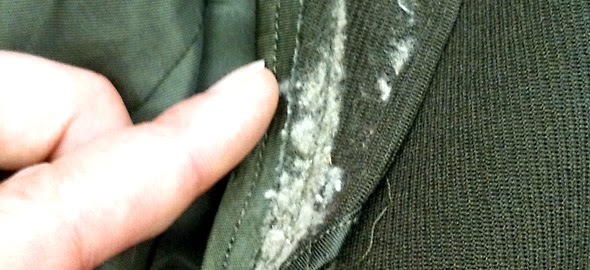 Πώς μπορούμε να εξαφανίσουμε τη μούχλα…