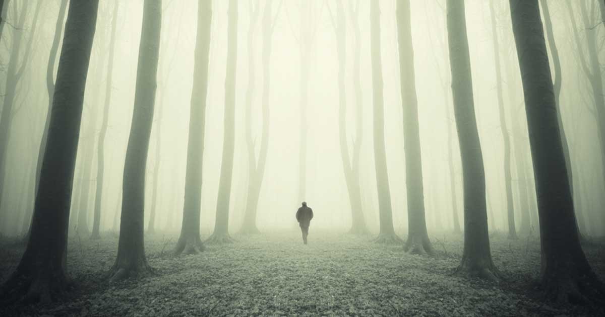 Ψυχολογικό Τεστ: Μια βόλτα στο δάσος...