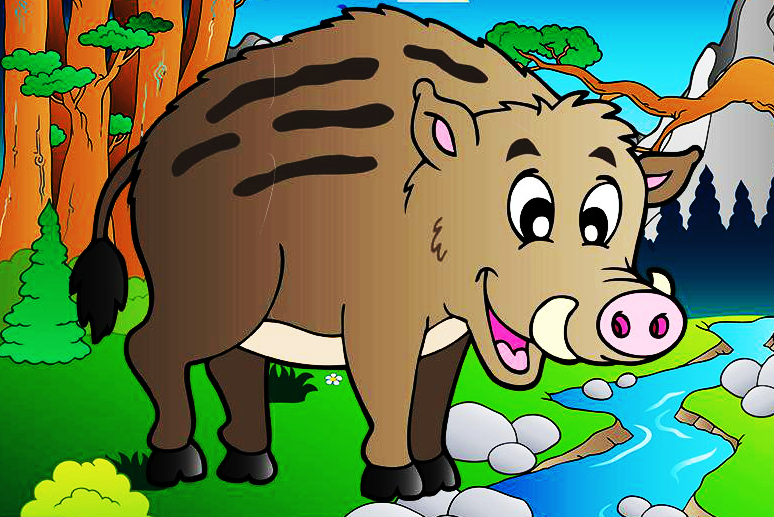 Η αλεπού και το αγριογούρουνο...