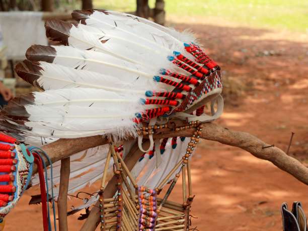 Ισχυρά θεραπευτικά βότανα που χρησιμοποιούν οι Ινδιάνοι αλλά και οι Έλληνες!!!