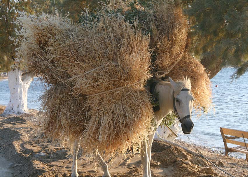 Από πότε κάνουμε αγγαρείες;