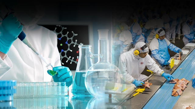 Κοτόπουλο σε φορμόλη και κρέας πιθήκου στο πιάτο μας!!!  Ανακοίνωση ΕΦΕΤ… (video)