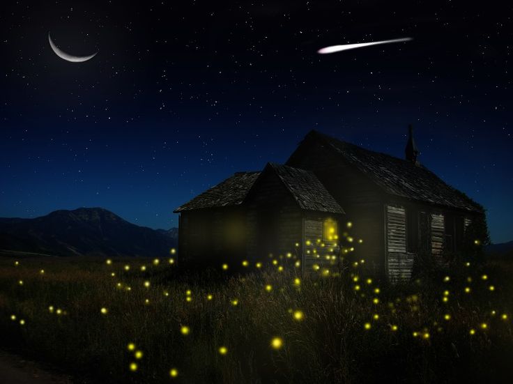 Κωλοφωτιές...