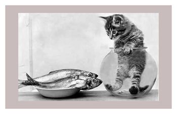 Εξεταστική… πριν τις εξετάσεις του Μέρφυ!!!