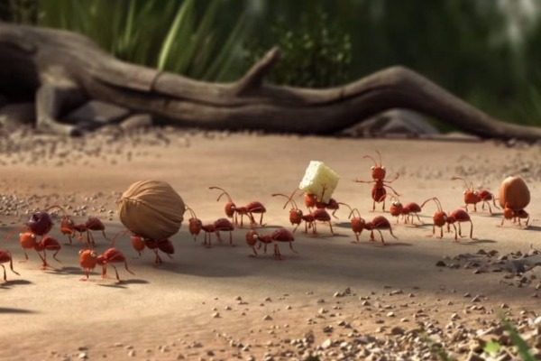 Η παρέα κάνει πάντα το ταξίδι καλύτερο… (video)