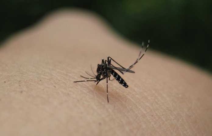 Συναγερμός!!! Σε «καραντίνα» 12 δήμοι, λόγω ελονοσίας…