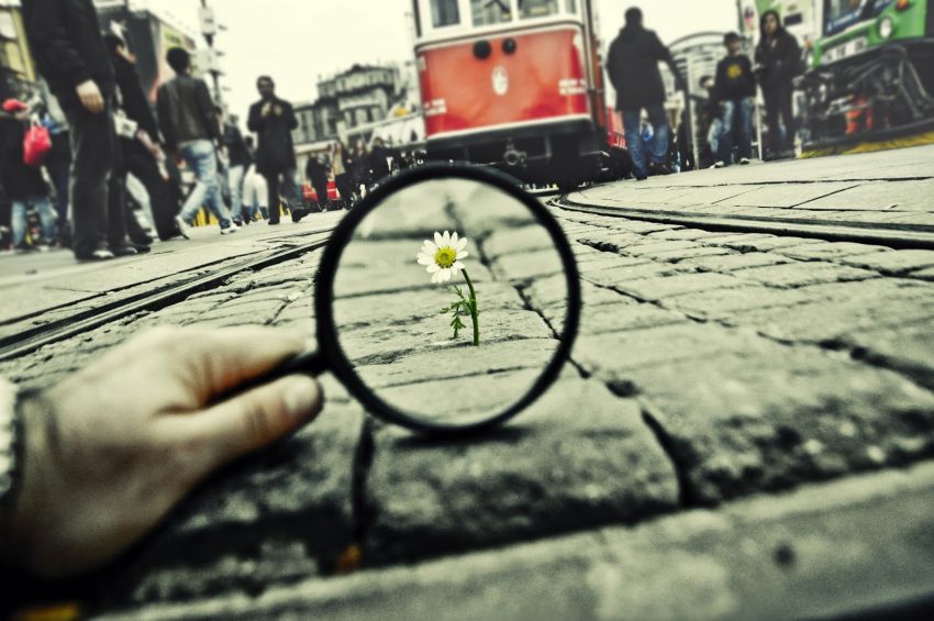 Είσαι αυτό που σκέφτεσαι…