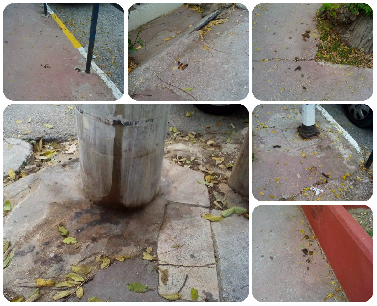 Σπορά «περιττωμάτων»… έξω από σχολεία!!! 