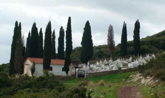 Γιατί στα νεκροταφεία φυτεύουν κυπαρίσσια;