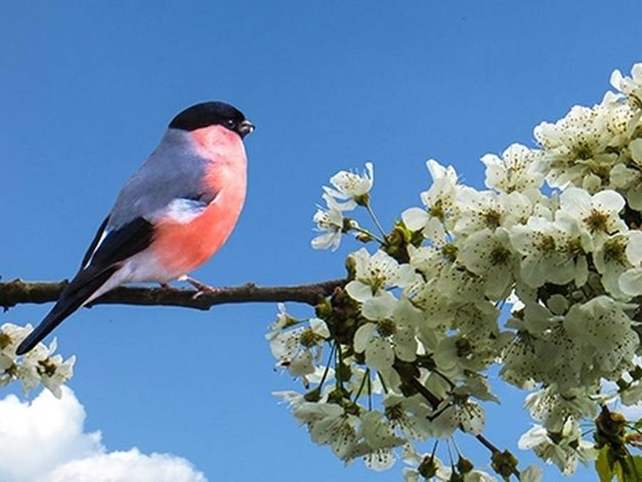 Μια βόλτα στην εξοχή... 