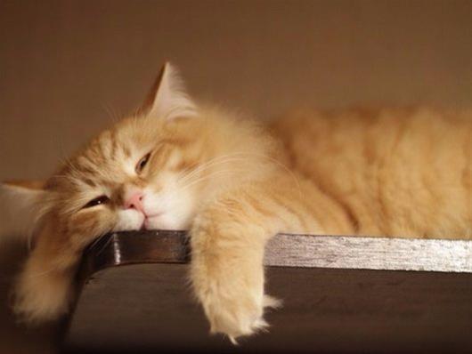 Ψυχολόγος αποκαλύπτει ένα απλό κόλπο για να μη τεμπελιάζουμε…