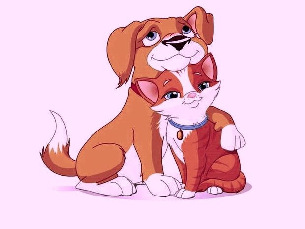 Ποιο είναι το ζωδιακό σου ταίρι;