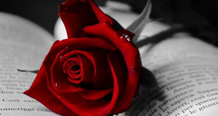 Μια αγάπη ξεχασμένη στον χρόνο….