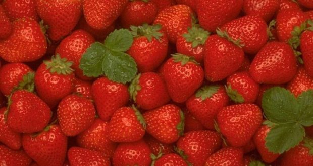 Φράουλα: Το πεντανόστιμο φρούτο και πως βοηθά τον οργανισμό