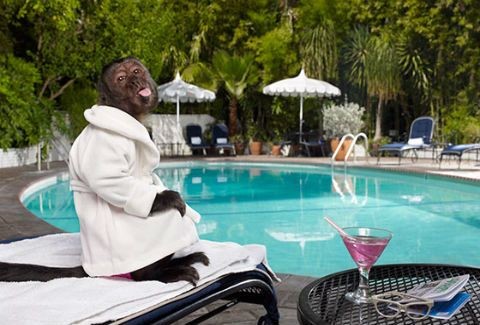 Τα 10 πιο τρελά επιδόματα που έχει δώσει το ελληνικό δημόσιο…