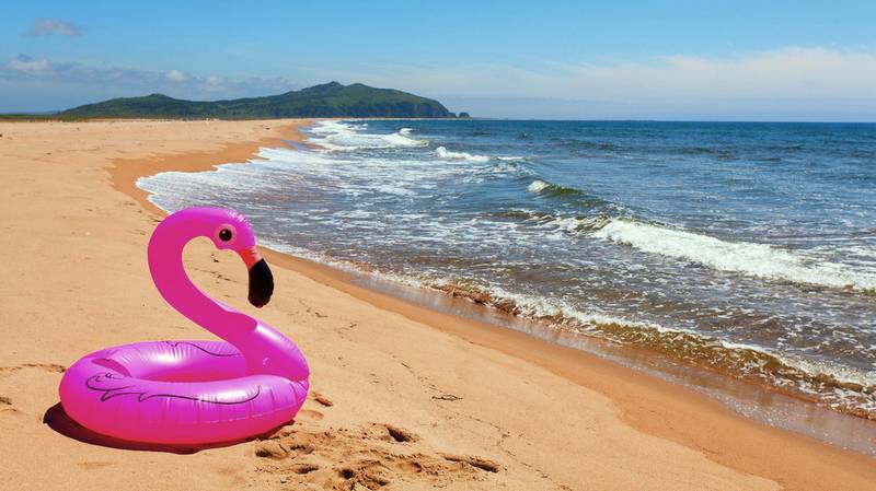 ΣΟΚ: Αρσενικό φλαμίνγκο προσπάθησε να ζευγαρώσει με ιδιοκτήτη φουσκωτού φλαμίνγκο…