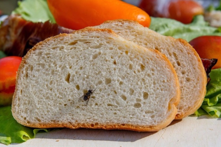 Εξαφανίστε τις μύγες από γύρω σας τώρα!!!