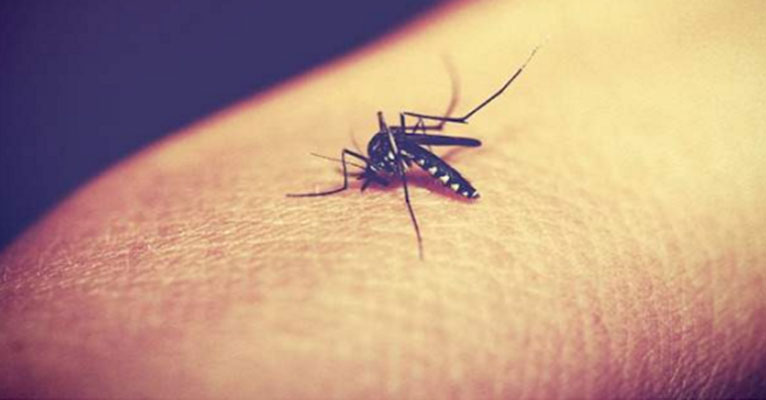 «Kαμπανάκι» KEEΛΠΝΟ: Υπαρκτός ο κίνδυνος ελονοσίας