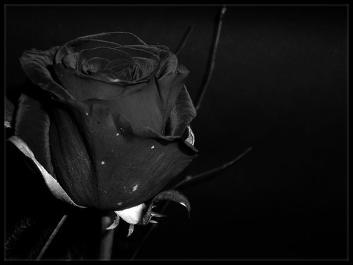 Μελωδία… σκοτεινή (Μέρος 2ο)