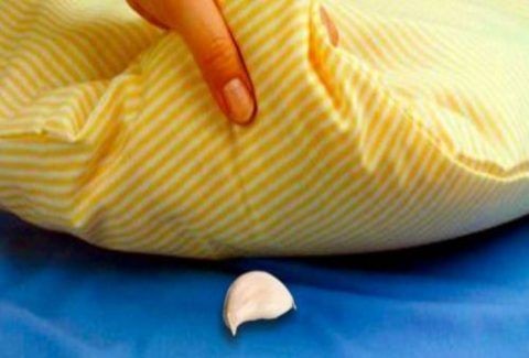 Βάλτε μια σκελίδα σκόρδο κάθε βράδυ κάτω από το μαξιλάρι και...