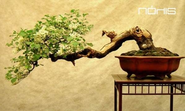 Πιστοποίηση Πληροφορικής Ποιοτικά Σεμινάρια… στο ΠΟΛΙΣ