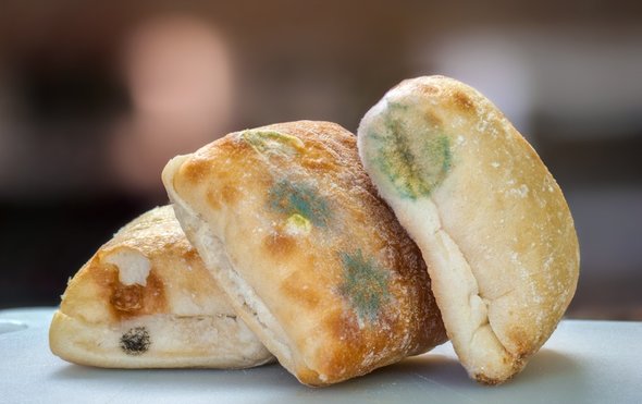 Μουχλιασμένα τρόφιμα: Γιατί δεν πρέπει να τα τρώμε ποτέ, ακόμα και αν τα έχουμε καθαρίσει…