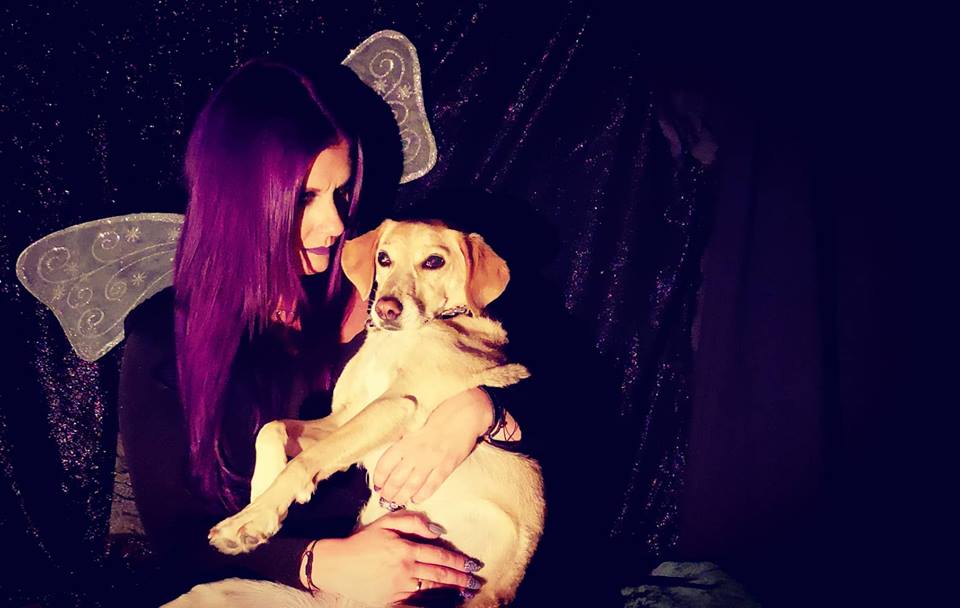 "Μωβ Νεράιδα": Ένα τραγούδι Δώρο για όλα τα αδέσποτα