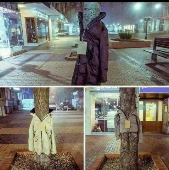 Λάρισα: Αυτός είναι ο λόγος που ντύνουν τα δέντρα με μπουφάν…