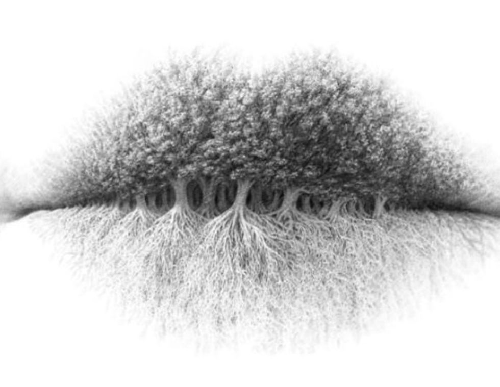 Τι βλέπετε πρώτο σ' αυτή την εικόνα; Η απάντηση αποκαλυπτική για το χαρακτήρα σας...