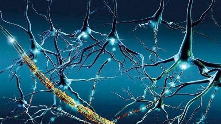 Σκλήρυνση Κατά Πλάκας: Τα «αθώα» συμπτώματα που δεν πρέπει να αγνοείτε