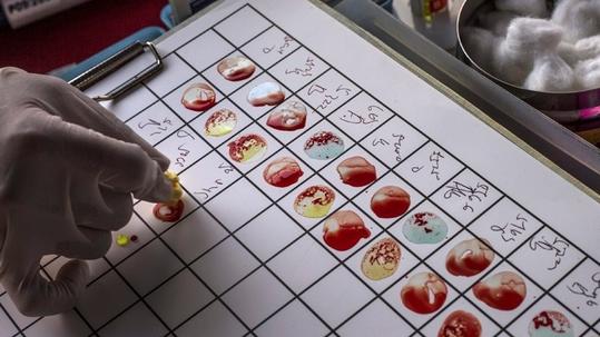 Μπορείτε να λύσετε τον «γρίφο του Wason»; (Τεστ λογικής)