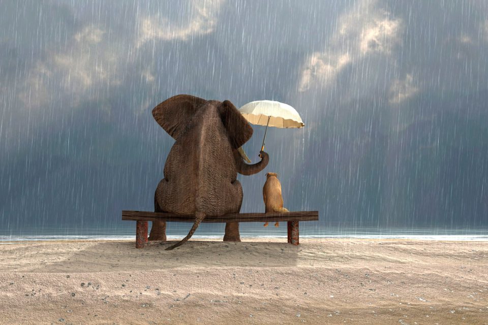 Χαλίλ Γκιμπράν: Η καλοσύνη είναι αρετή των δυνατών ανθρώπων!