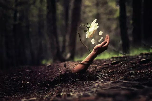 Αχαριστία: Η μάστιγα της εποχής…