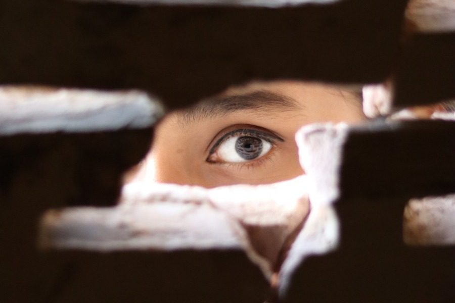 Ο "Μεγάλος Αδελφός" που παρακολουθεί 900 εκατομμύρια ανθρώπους