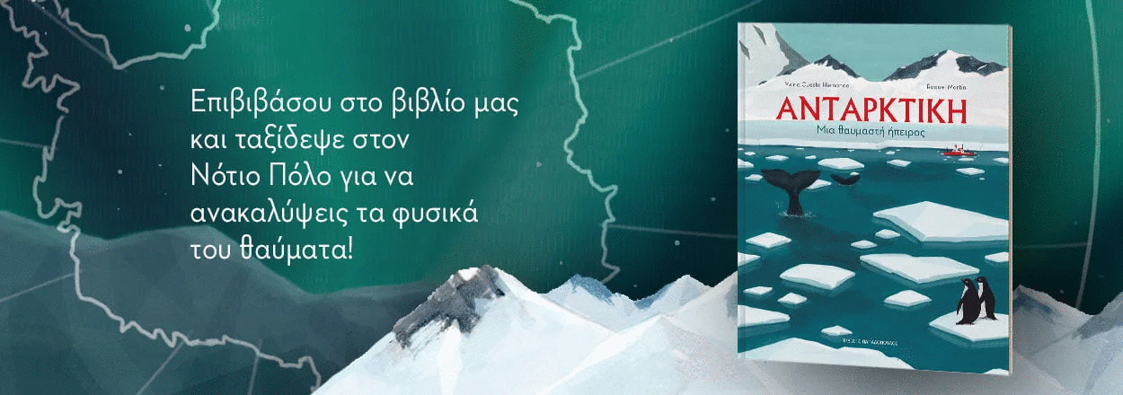 334135472 536560542022515 7605061760279884718 n