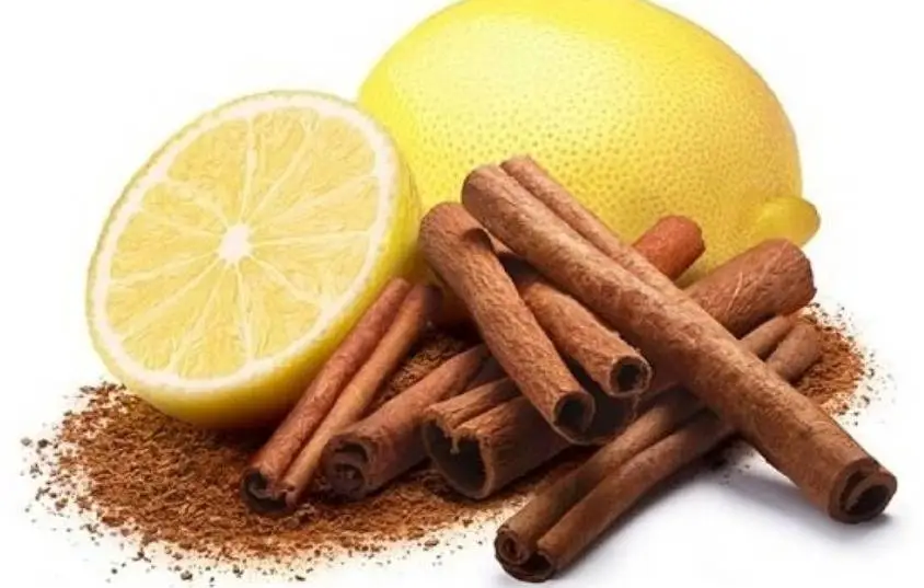 Κανέλα και λεμόνι: Για τις αρθρώσεις, την ακμή, τον μεταβολισμό, την γρίπη και τα κρυολογήματα