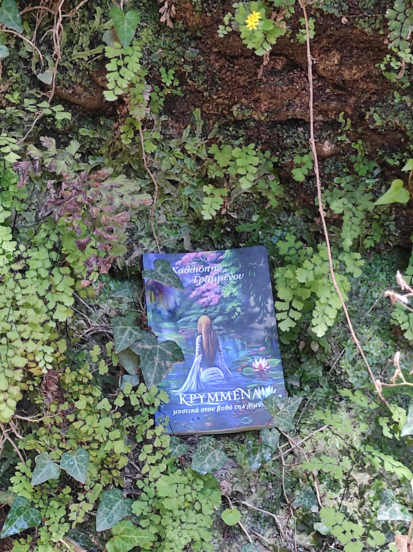 9 ντοκιμαντέρ για να αυξήσετε την ευφυΐα σας…