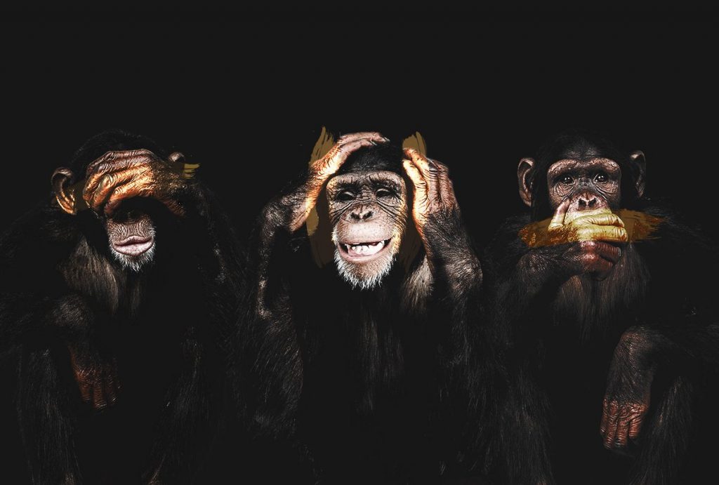 Γιατί ένα προϊόν απομίμηση του αυθεντικού το λέμε «Μαϊμού»;