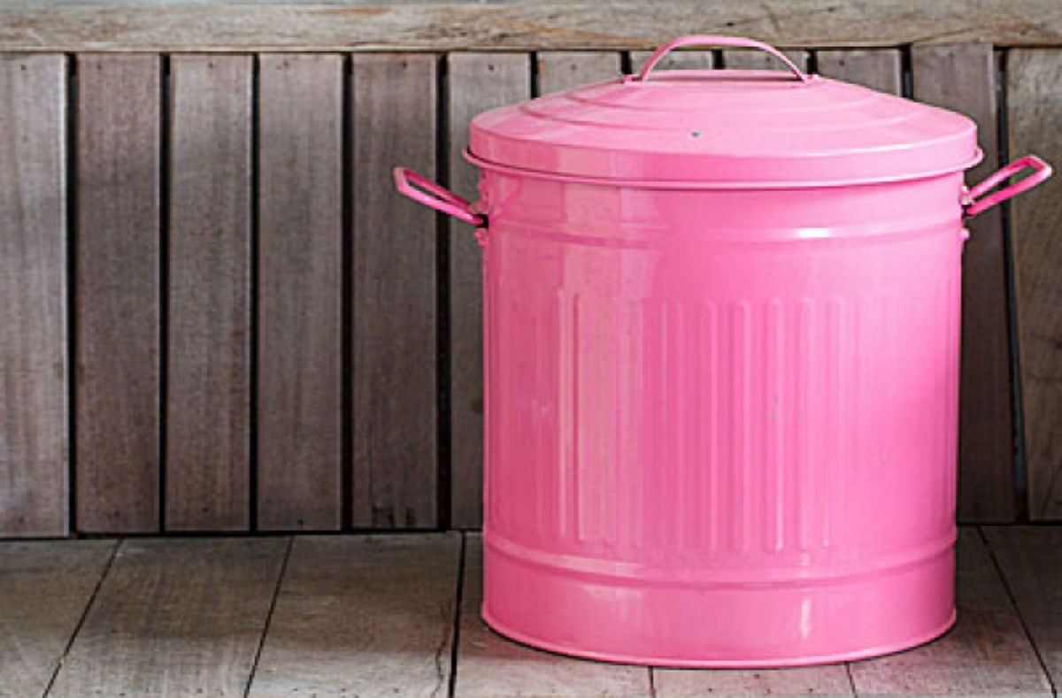 Το μυστικό για να μη μυρίζει ποτέ ξανά ο κάδος σκουπιδιών σου