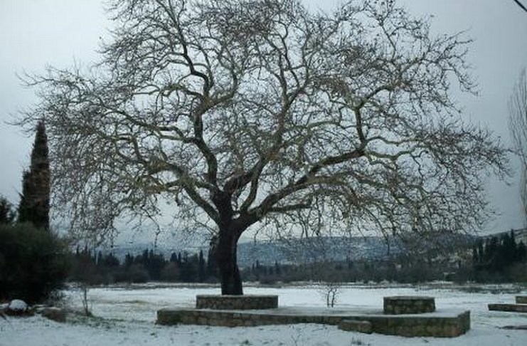 Κατά πού πέφτει η Κολοπετινίτσα;
