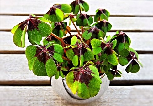 Είναι ευλογία να μπορείς να εκτιμάς όσα έχεις…