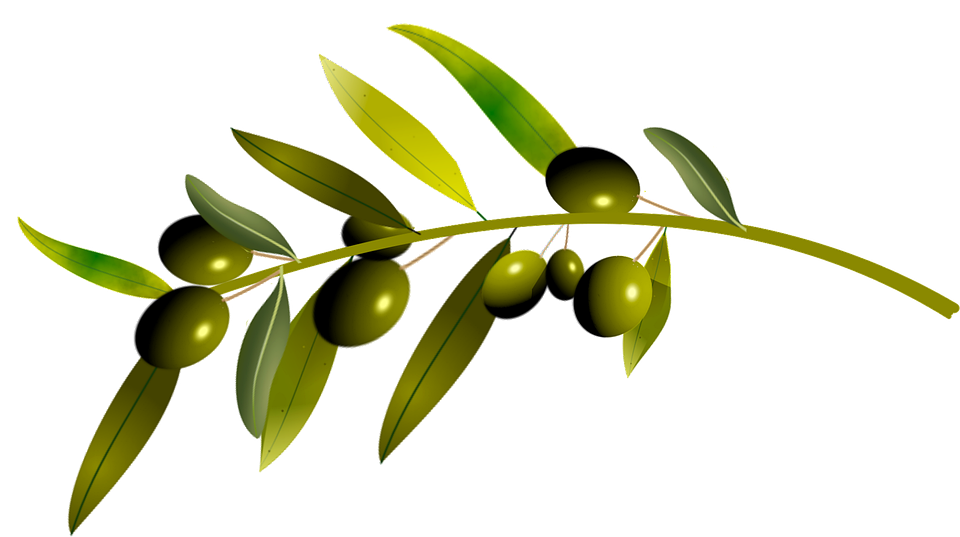 olives